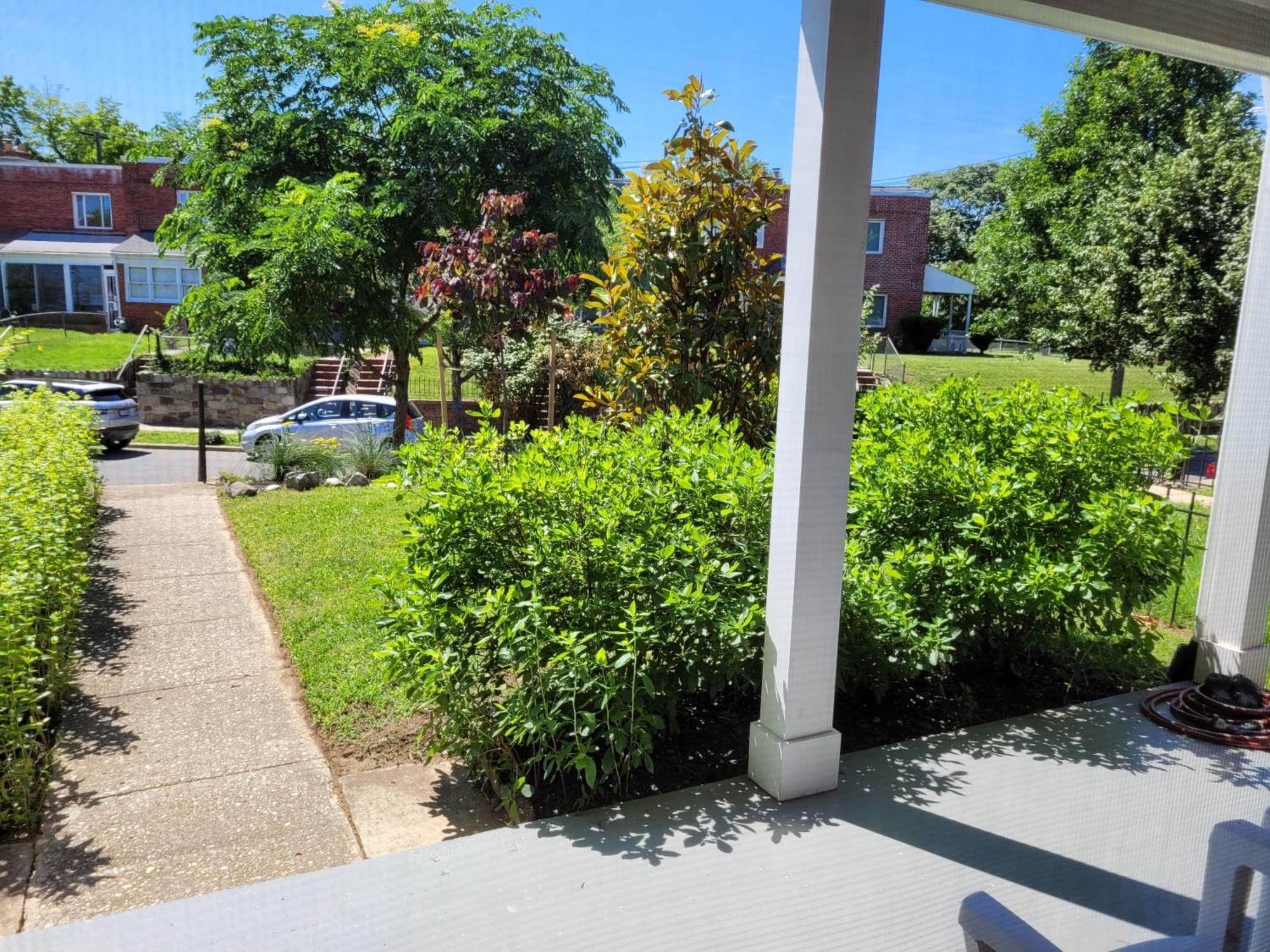 Capitol Hill Adj Home With Parking And Easy Access To Downtown Washington Esterno foto